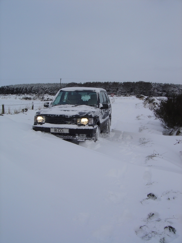 17th Dec 2010 013